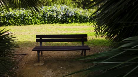 reveal, picturesque park bench shaded by lush palm tree leaves in scenic garden