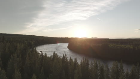 drone shot flying over a calm river in norway during golden hour in between green pine trees on a sunny day log