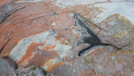 drone aerial face down to bay up over red bay of fires rocks to ocean tasmania slow motion 60fps