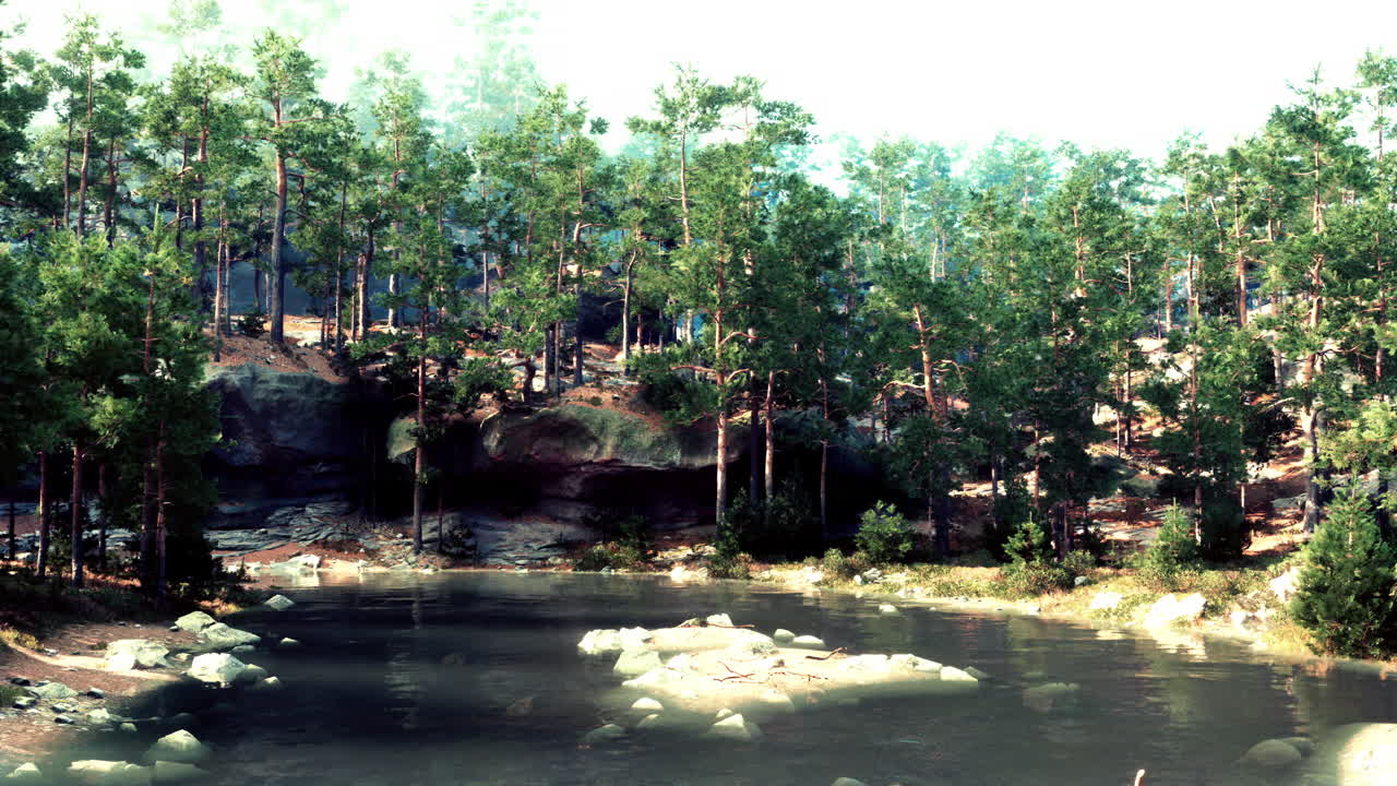 울창 한 소나무 로 둘러싸인 조용 한 호수