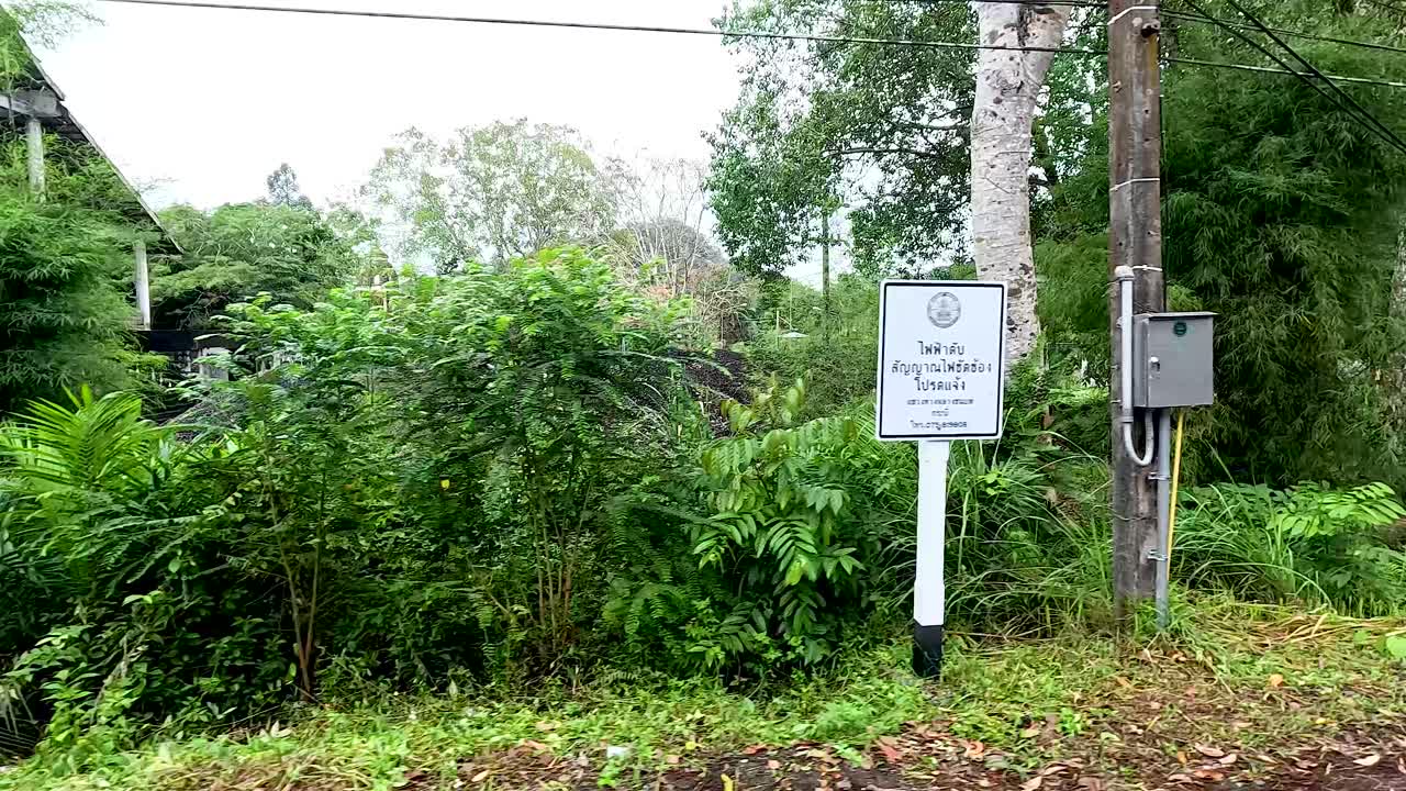 교외 크라비의 울창한 초록색과 표지판