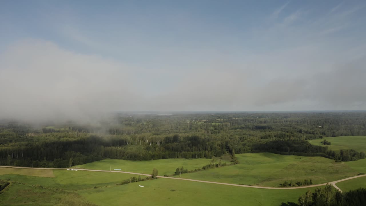 volando desde el bosque hacia las nubes