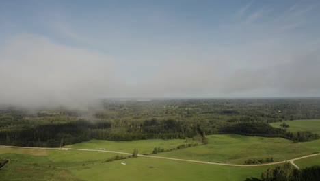 Flying-from-Forest-into-the-Clouds