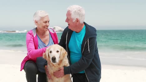 old retired couple with dog