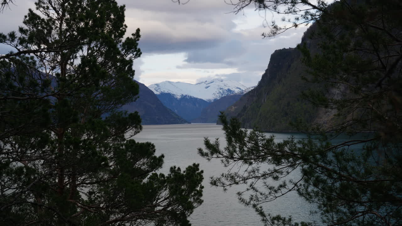 Sneklædte tinder rejser sig bag en fredfyldt fjord, indrammet af fyrretræer. Ideel til rejsedokumentarer eller naturrelaterede projekter.