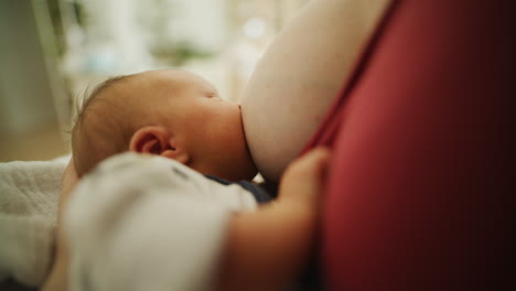 close-up of newborn breastfeeding from mother