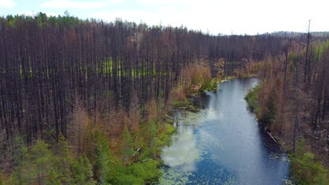 Bachwasserfluss-Im-Wald-Im-Herbstwinter-Außerhalb-Der-Landschaft-Toronto