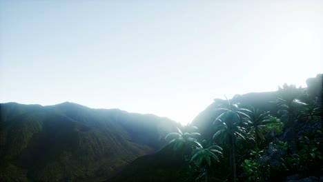 mountain and field landscape with palms