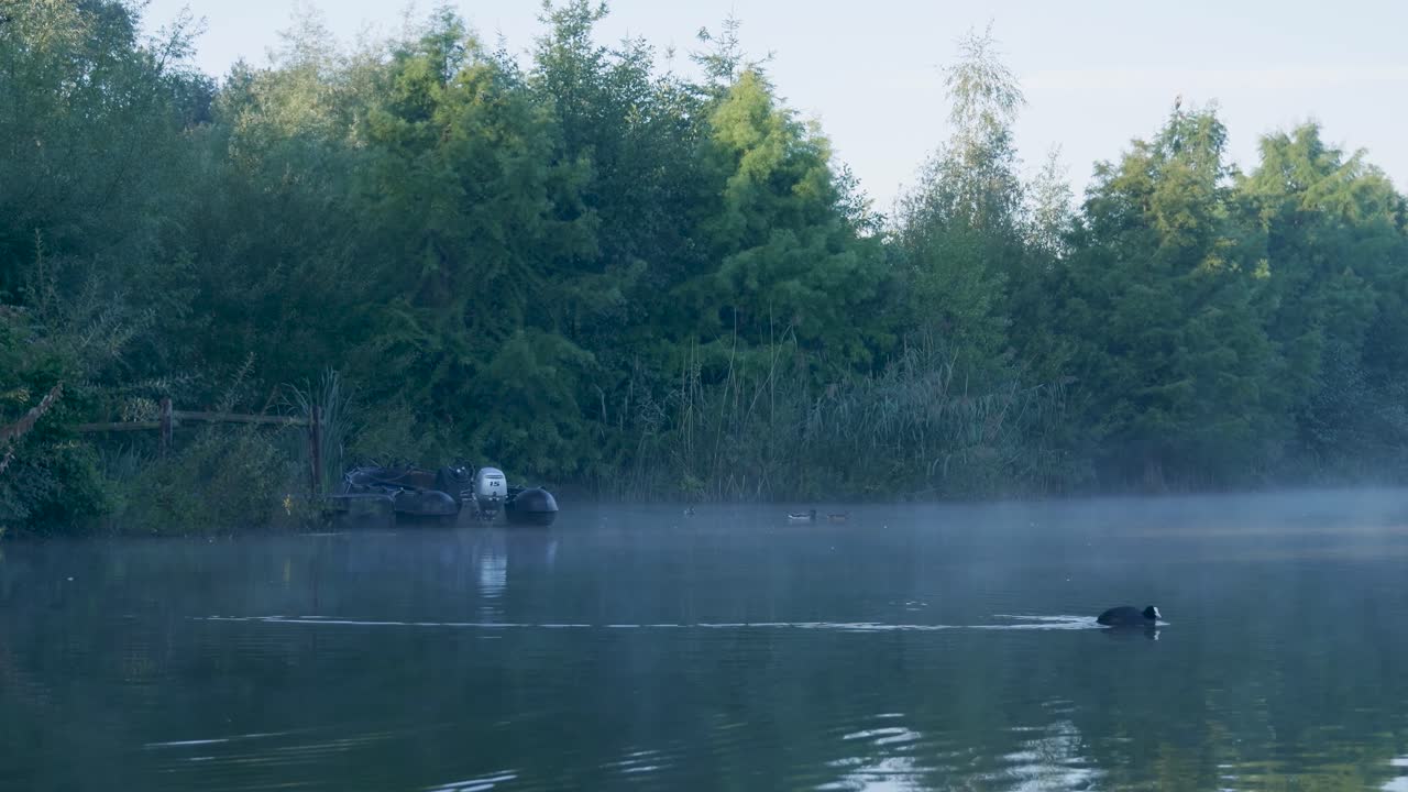 Tranquil Lake Scene with Boat, Mist, and Ducks