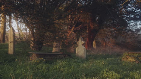 Paisaje-Del-Antiguo-Cementerio-Rodeado-De-Bosque-Durante-La-Puesta-Del-Sol