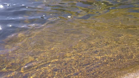 footage showing the glistening surface of a river as sunlight reflects off the moving water. the scene captures the serene and rhythmic texture of nature, perfect for nature-themed content