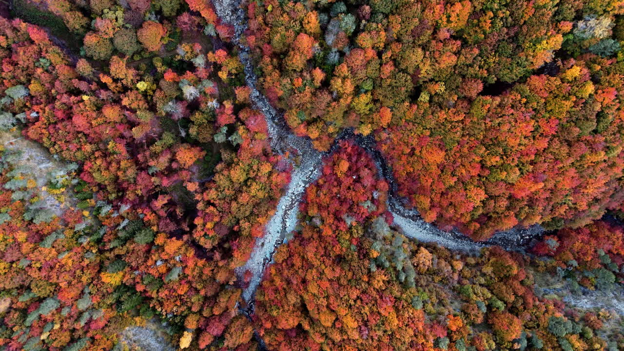 Aerial view of vibrant autumn forest surrounding winding river