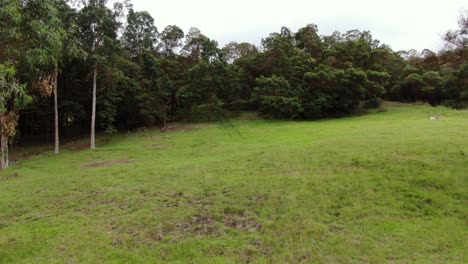 Wandern-Durch-Den-Polpoli-Wald-Auf-Maui,-Hawaii