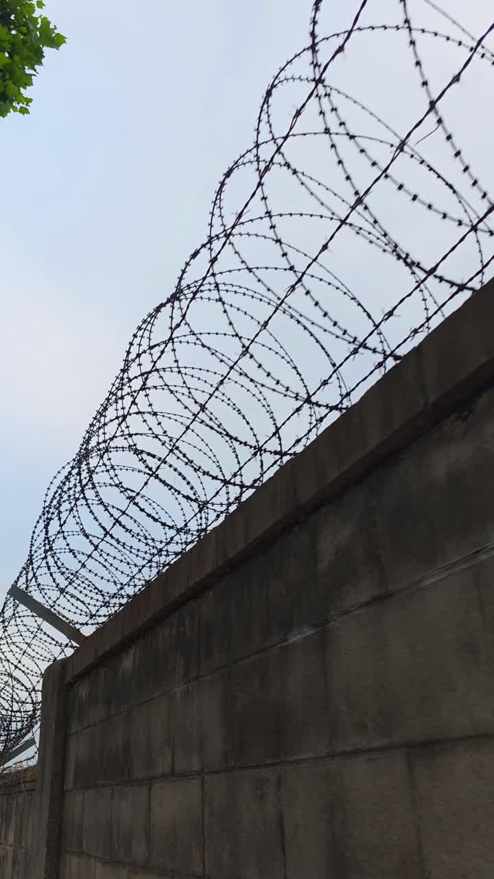 A point-of-view walk along a military base fence shows a high concrete wall topped with coiled barbed wire, highlighting strict perimeter security and restricted access. - vertical