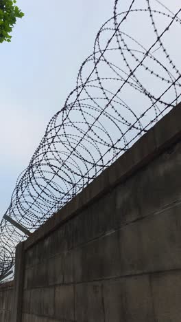 a point-of-view walk along a military base fence shows a high concrete wall topped with coiled barbed wire, highlighting strict perimeter security and restricted access. - vertical