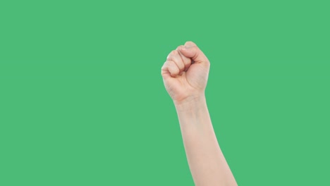 la mano humana levantada apretada en el puño sobre un fondo verde. la gente se reúne en la revolución social. la rebelión nacional y la manifestación.