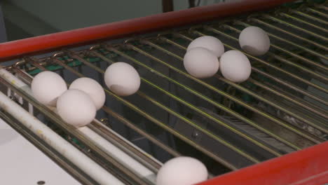 Huevos-Moviéndose-A-Lo-Largo-De-Una-Línea-De-Producción-En-Una-Granja-Avícola