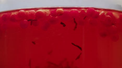 frozen cranberries in snow for tea, background close up of cranberry berries in winter park, ice fridge macro.