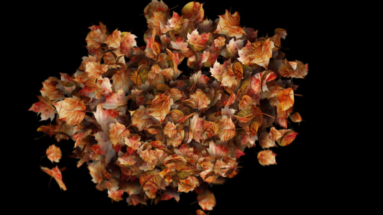 Autumn Leaves Transition on black background - Leaf Particles Reveal Element