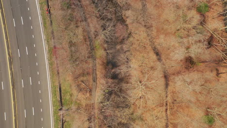 Una-Vista-De-Dron-Sobre-Una-Avenida-Tranquila,-Con-árboles-Secos-Al-Lado