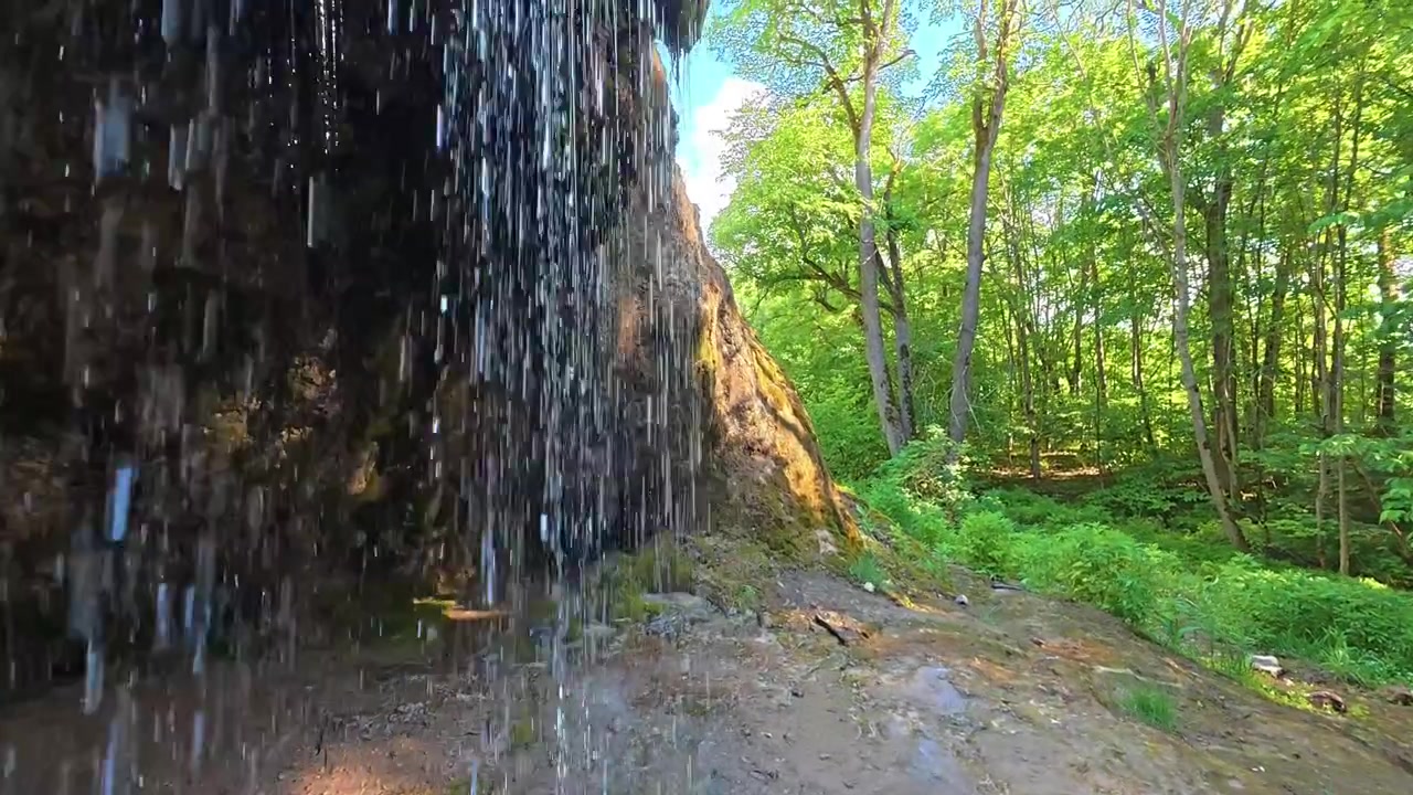 Slow motion shot of water cascading down a mossy rock face in a vibrant green forest on a sunny day