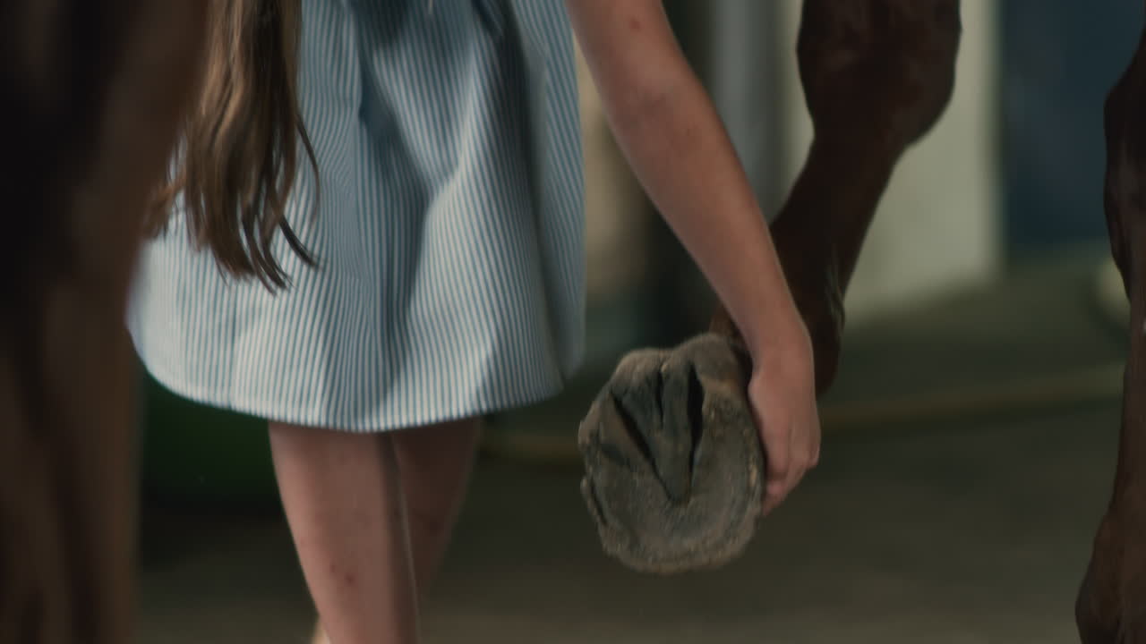 Child grooming a horse's hoof