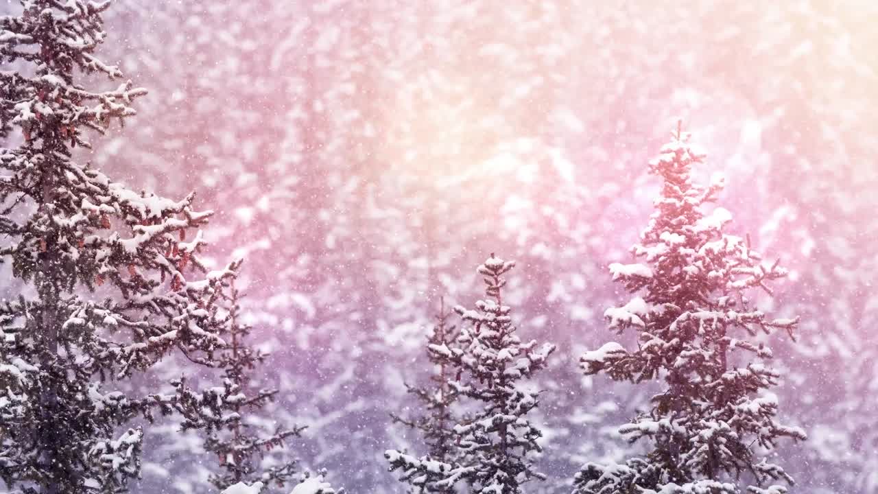 Spots of light and snow falling over winter landscape with trees
