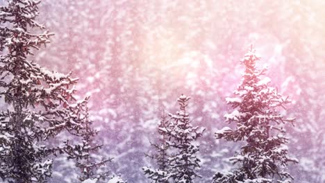 spots of light and snow falling over winter landscape with trees
