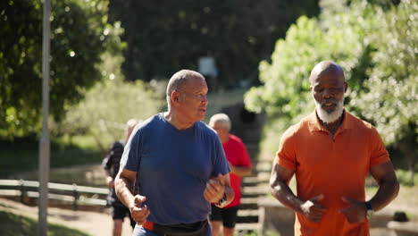 older men exercising in a park