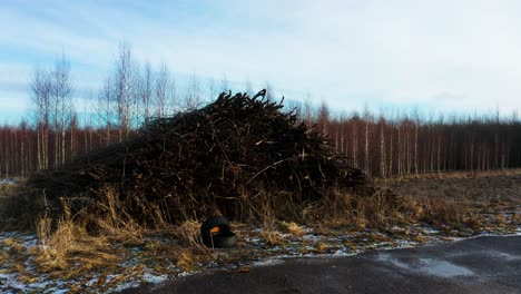 pile of wood recycle material near bare tree countryside forest in latvia