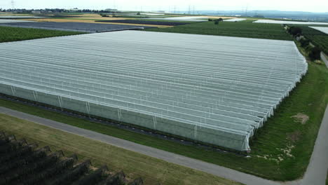 aerial view of a large-scale fruit farm with protective netting