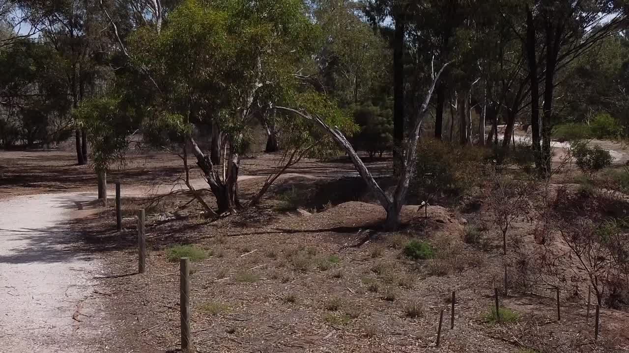 Camminando sul sentiero al Clonlea Park, Gawler, a Willaston, Australia Meridionale, in una giornata di sole - carrellata