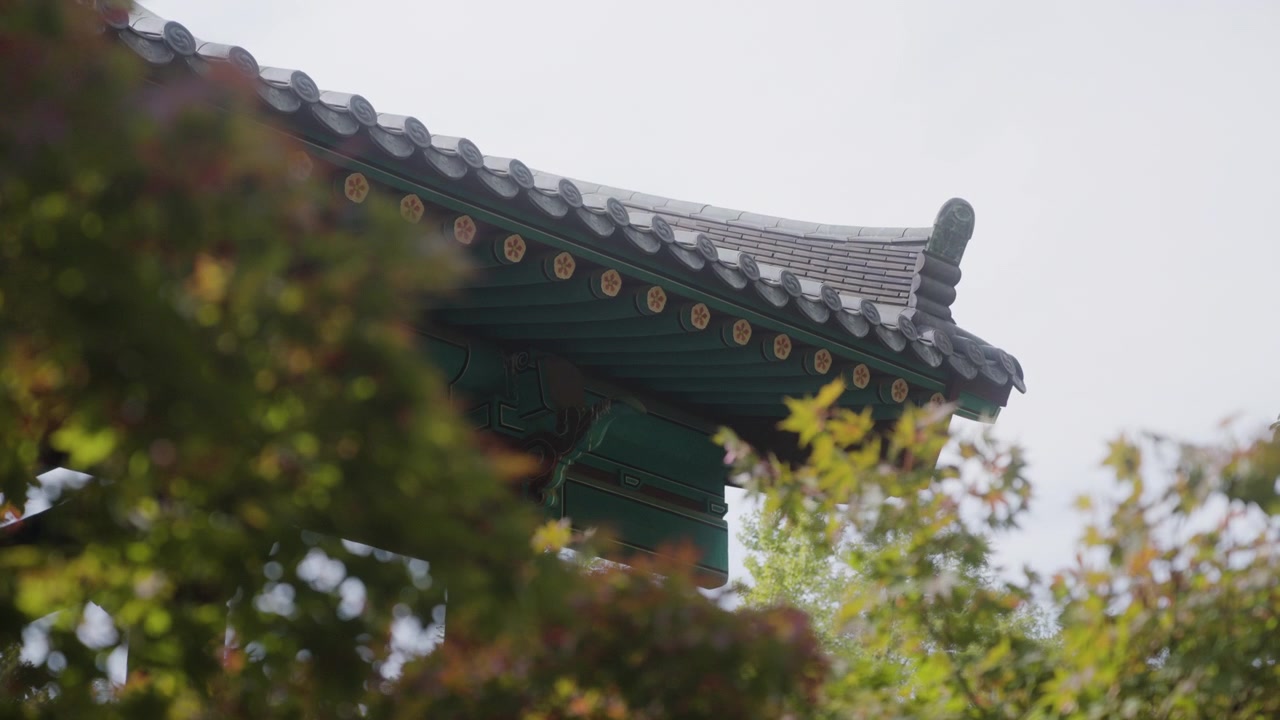 Tetto tradizionale coreano in stile Dancheong circondato dalla natura.