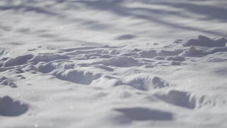 Sparkling-under-the-sun,-the-fresh-light-snow-creates-a-stunning-winter-display