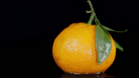 una mandarina madura con hojas gira lentamente.