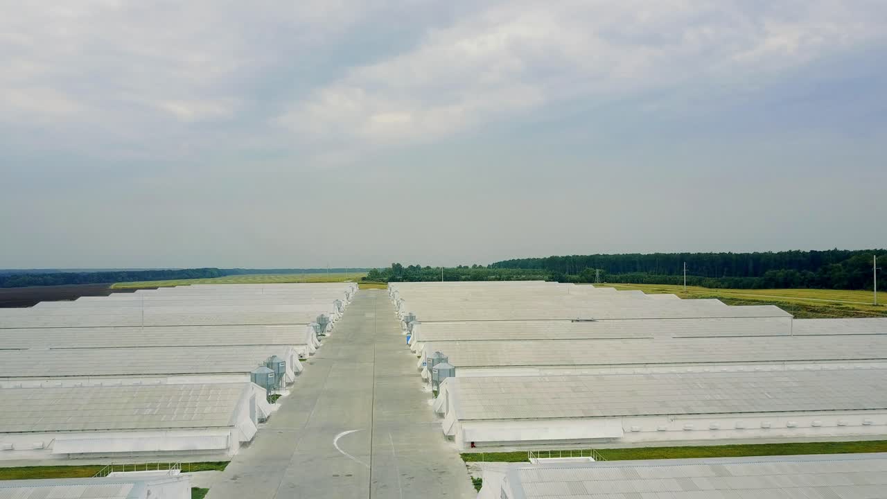 Rural Poultry Farm. Aerial view of industrial poultry house in the country