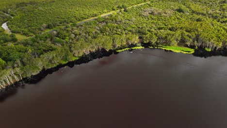 Schöner-Grüner-Waldrand---Lake-Ainsworth---Lennox-Head-NSW-Australien---Antenne