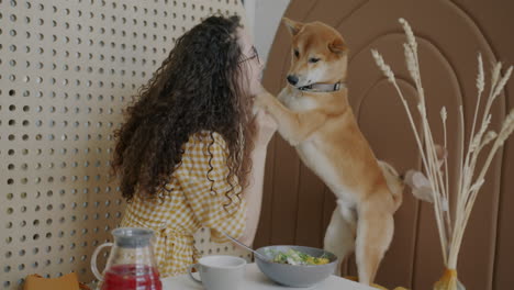 woman and dog playing in cafe