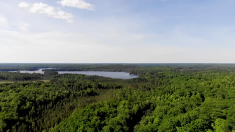 Fliegen-über-Einen-Grünen-Wald-In-Richtung-Eines-Wunderschönen-Blauen-Sees-In-Der-Ferne