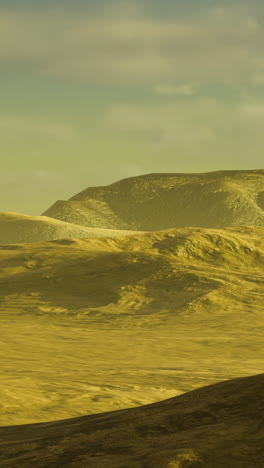 vast golden landscape under soft sunlight creates an ethereal atmosphere