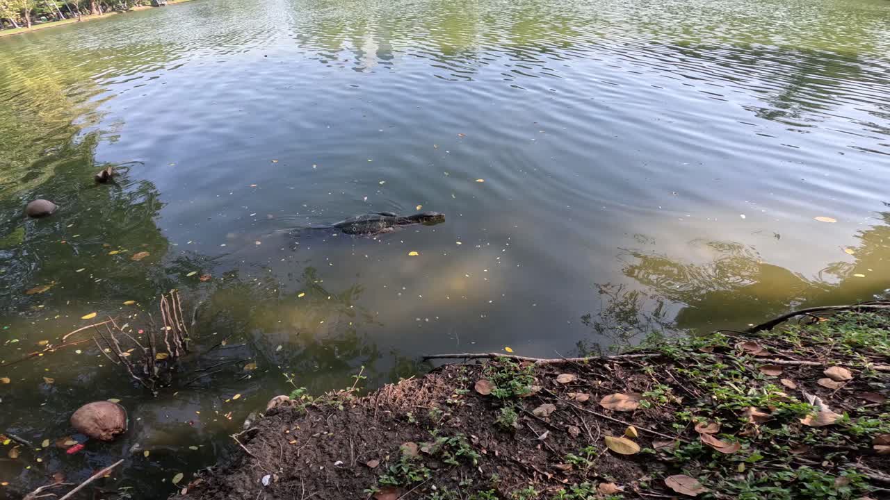 모니터 도마이 물가에서 고 있습니다.