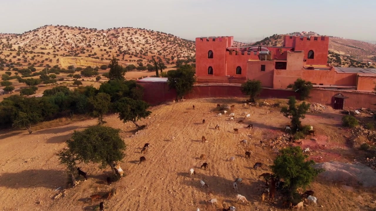 Drone in discesa verso un gregge di capre accanto a una residenza tradizionale marocchina.