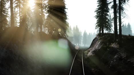 Flight-Over-A-Railway-Surrounded-By-Forest