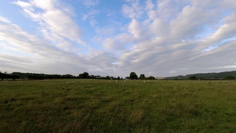 Ovejas-Pastando-En-Los-Pastos-Rurales-De-Anglesey-Timelapse-Mientras-Las-Nubes-Se-Aceleran-A-Través-Del-Ventoso-Campo-Galés