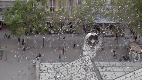 City-Pigeons-Flying-by-The-Centre-Pompidou-in-Paris