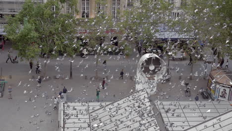 palomas de la ciudad volando por el centro pompidou en parís