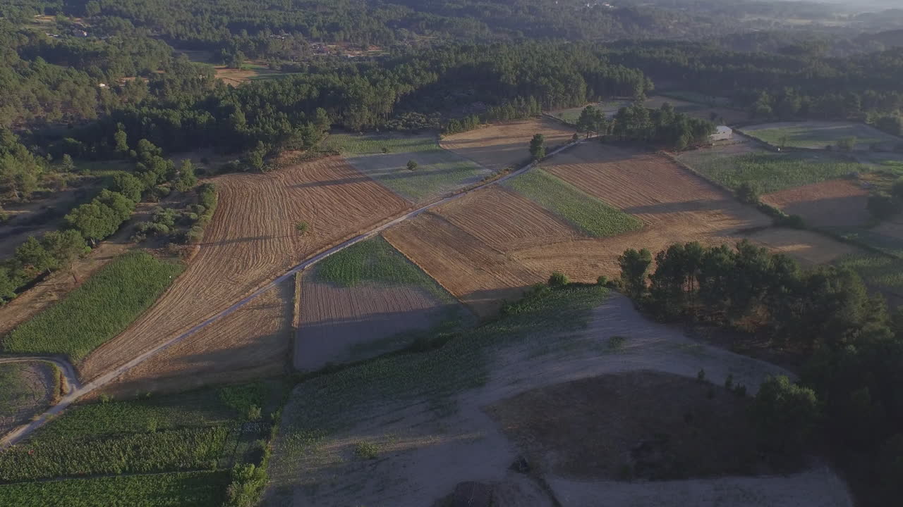 포르투갈 북부의 아름다운 자른 건초밭에서 놀라운 샷