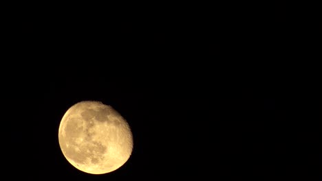 luna gibosa menguante que se eleva en el fondo del cielo oscuro de izquierda a derecha