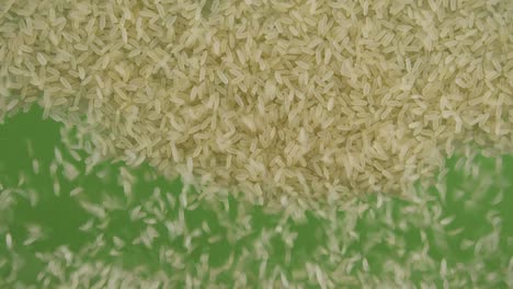 top view of falling down rice grains. the seeds fall and fill the green screen. grain background