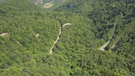 parapente volando sobre el bosque